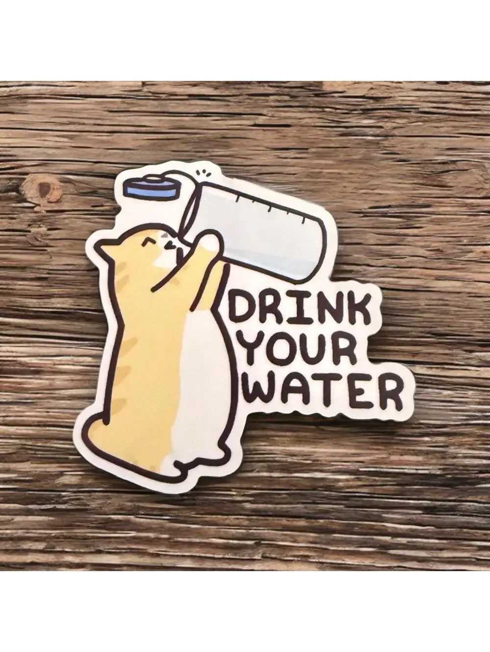 Decal - Drink Your Water, Cute Cat, Orange Tabby Kitty Water Bottle NWT 3